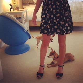 Angela Kinsey feet photo thumbnail