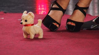 Diana Naborskaya feet photo thumbnail