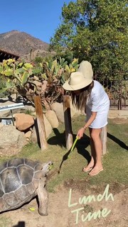 Alessandra Ambrosio feet photo thumbnail