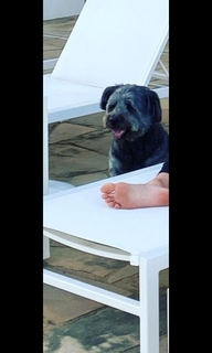 Jamie-Lynn Sigler feet photo thumbnail
