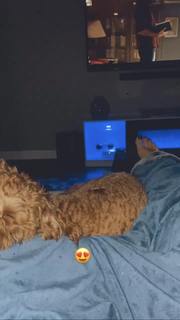 Amanda Saccomanno feet photo thumbnail