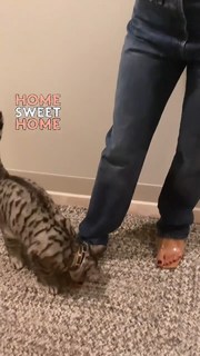 Halle Bailey feet photo thumbnail