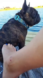 Nicole Neumann feet photo thumbnail
