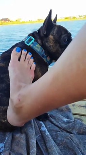 Nicole Neumann feet photo thumbnail