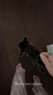 Chantel Jeffries feet photo thumbnail