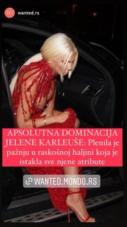 Jelena Karleusa feet photo thumbnail