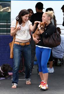 Sophia Bush feet photo thumbnail