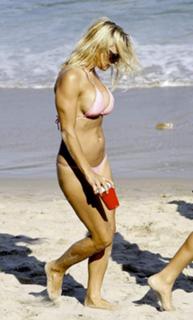 Pamela Anderson feet photo thumbnail