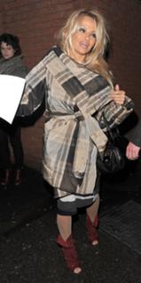 Pamela Anderson feet photo thumbnail