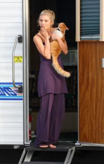 AnnaLynne McCord feet photo thumbnail