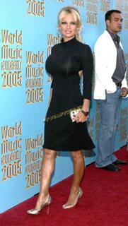 Pamela Anderson feet photo thumbnail