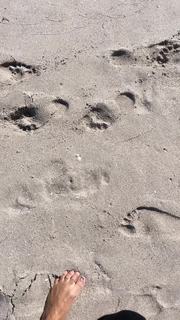 Angela Simmons feet photo thumbnail