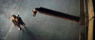 Emily Blunt feet photo thumbnail