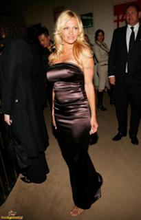 Pamela Anderson feet photo thumbnail