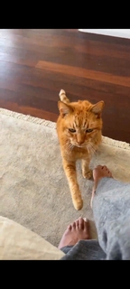 Kate Walsh feet photo thumbnail
