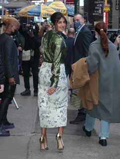 Priyanka Chopra Jonas feet photo thumbnail