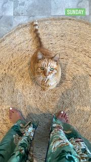 Kate Walsh feet photo thumbnail