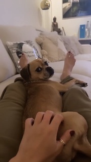Nina Agdal feet photo thumbnail