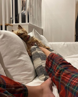 Phoebe Tonkin feet photo thumbnail