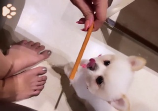 Raai Laxmi feet photo thumbnail