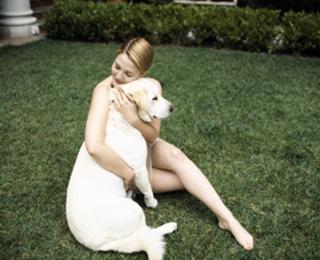 Drew Barrymore feet photo thumbnail