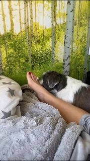 Karolina Kowalkiewicz feet photo thumbnail