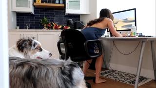 Pierson Wodzynski feet photo thumbnail