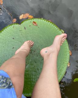 Franciely Freduzeski feet photo thumbnail