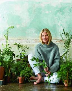 Gwyneth Paltrow feet photo thumbnail