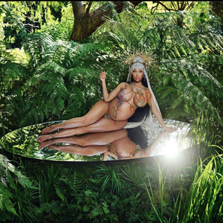 Nicki Minaj feet photo thumbnail