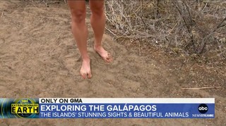 Amy Robach feet photo thumbnail
