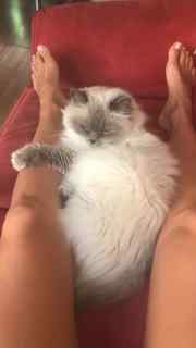 Rachel Cook feet photo thumbnail