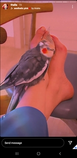 Thalía feet photo thumbnail