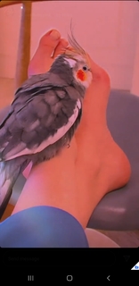 Thalía feet photo thumbnail