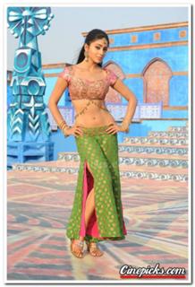 Shriya Saran feet photo thumbnail