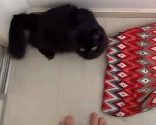 Eduarda Hippier feet photo 1