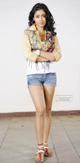 Shriya Saran feet photo thumbnail