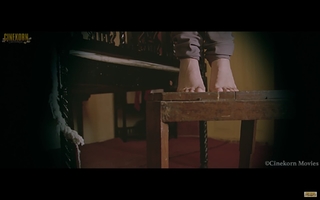 Ileana D'Cruz feet photo thumbnail