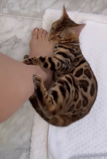 Grazi Massafera feet photo thumbnail