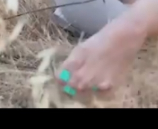 Serenay Sarikaya feet photo thumbnail