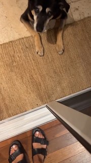 Kate Walsh feet photo thumbnail