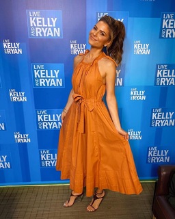 Maria Menounos feet photo thumbnail