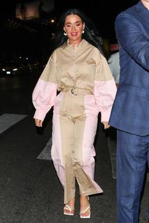 Katy Perry feet photo thumbnail