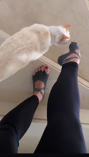 Franciely Freduzeski feet photo thumbnail