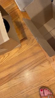 Angela Kinsey feet photo thumbnail