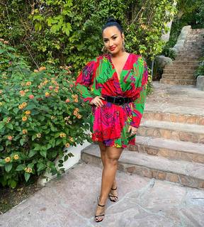 Demi Lovato feet photo thumbnail