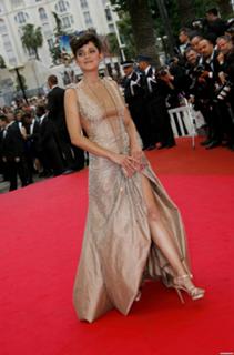 Marion Cotillard feet photo thumbnail