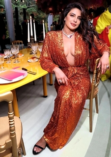 Priyanka Chopra Jonas feet photo thumbnail