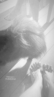 Olga Seryabkina feet photo thumbnail