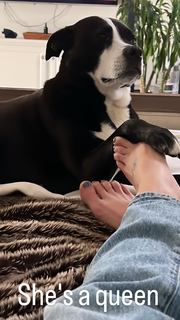 Ashley Greene feet photo thumbnail
